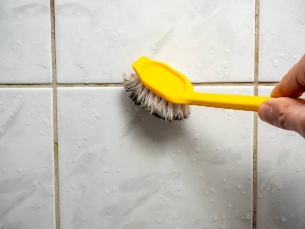 Best Fast Mold Removal  in San Antonio, TX